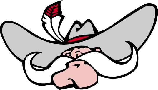 UNLV Rebels 1995-2005 Secondary Logo diy iron on heat transfer...